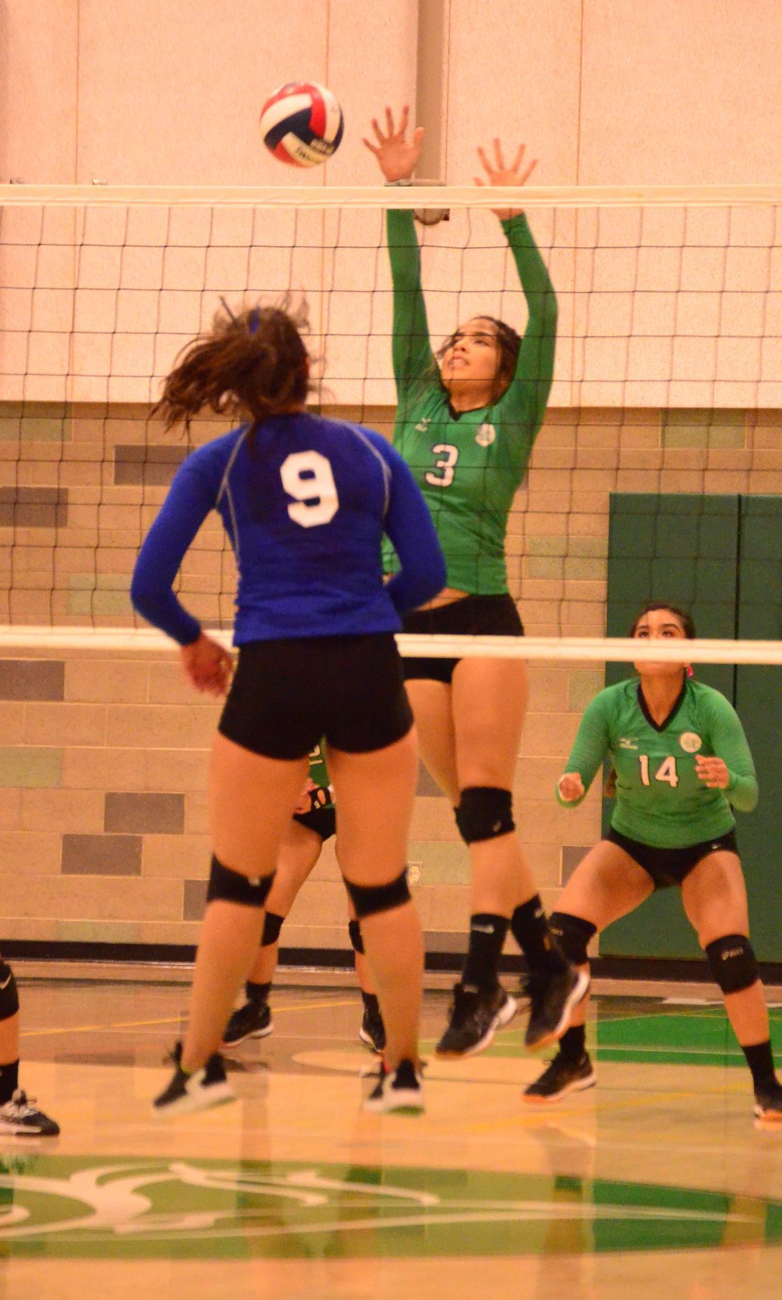 Calistoga volleyball